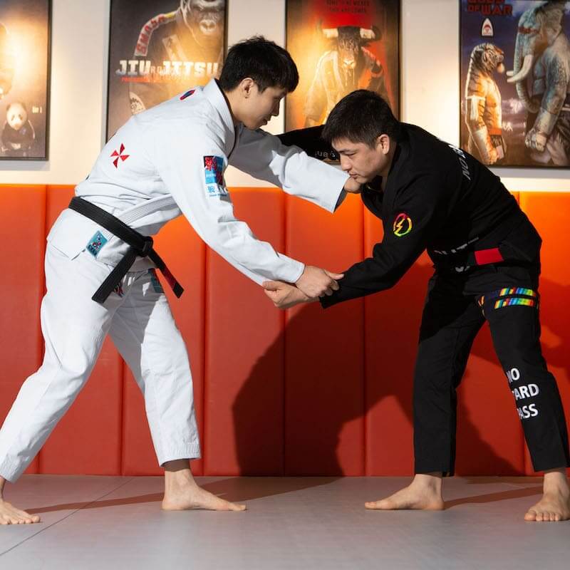 ZHAN Year of the Rabbit BJJ Gi: Embrace the Zodiac Spirit in action during Brazilian Jiu-Jitsu practice.