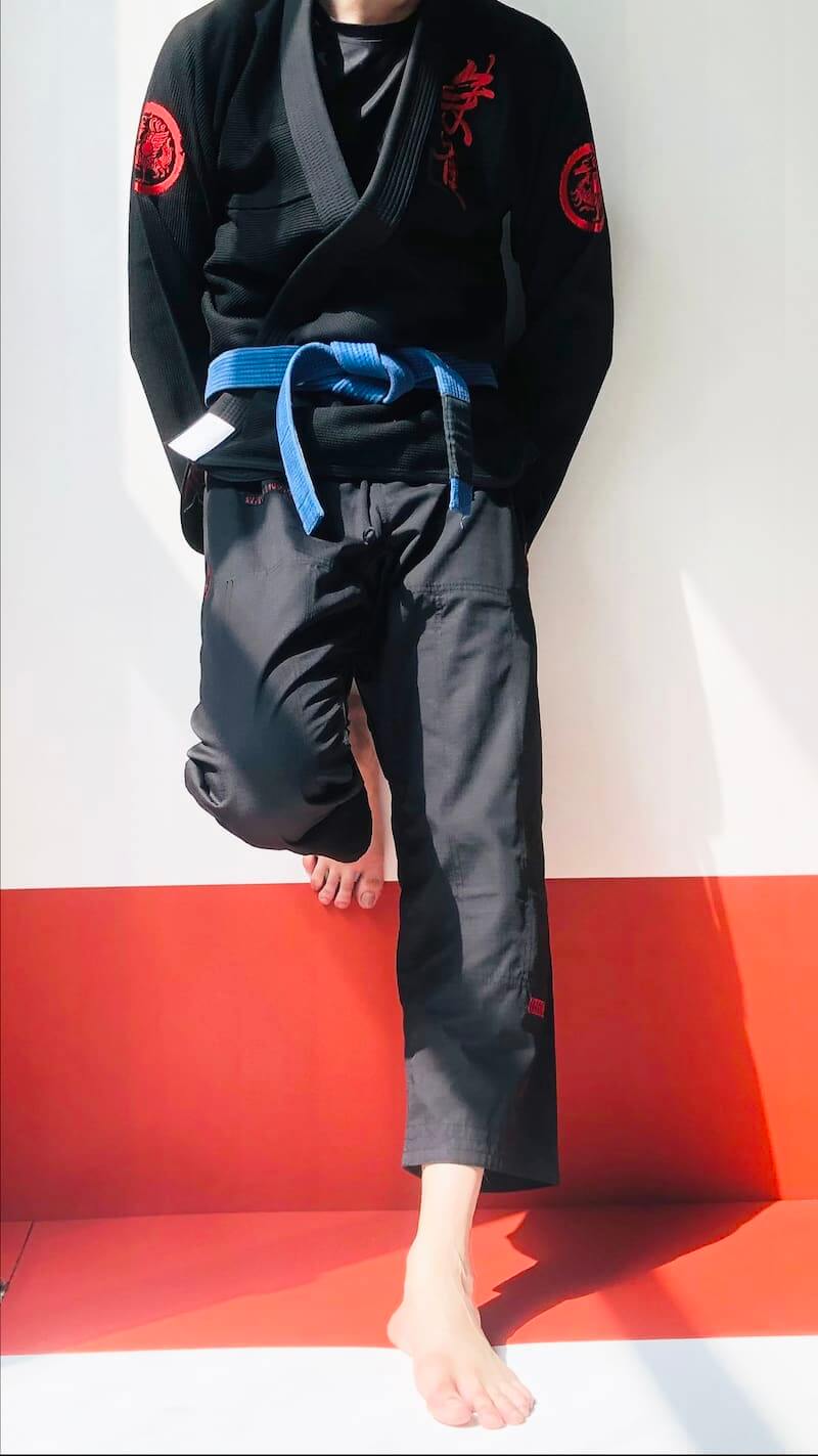 ZHAN Vermilion Phoenix BJJ Gi worn by a practitioner, featuring phoenix artwork and embroidery.